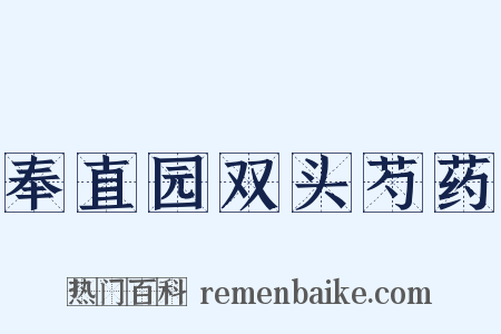 奉直园双头芍药是什么意思的图片